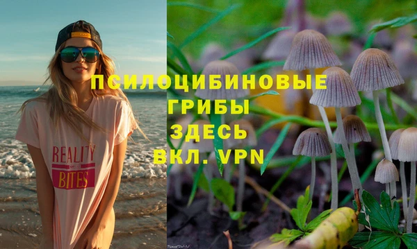 PSILOCYBIN Алексеевка
