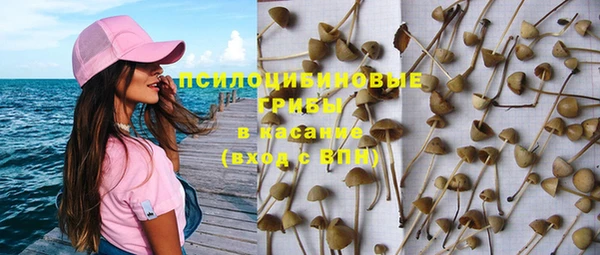 PSILOCYBIN Алексеевка