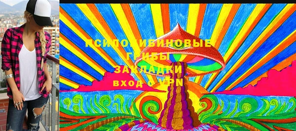 PSILOCYBIN Алексеевка