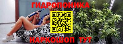 гидра Заволжье