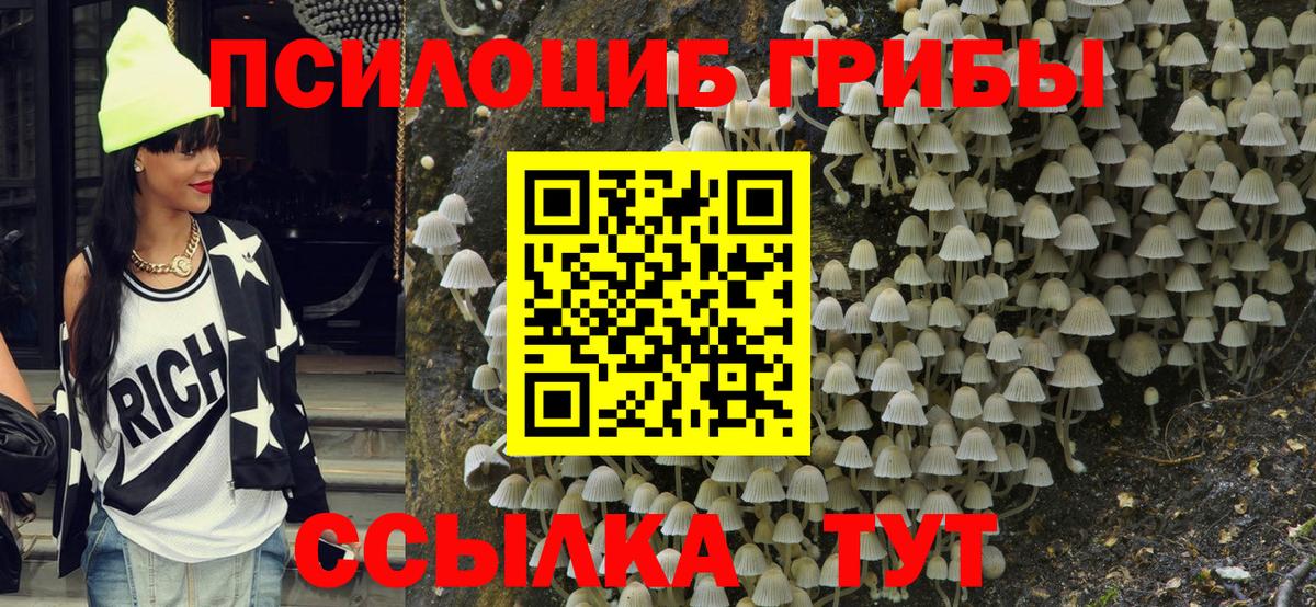 Пушкино  Галлюциногенные грибы Psilocybine cubensis  Вход с VPN 