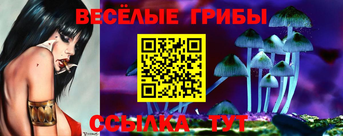 Псилоцибиновые грибы ЛСД Пушкино